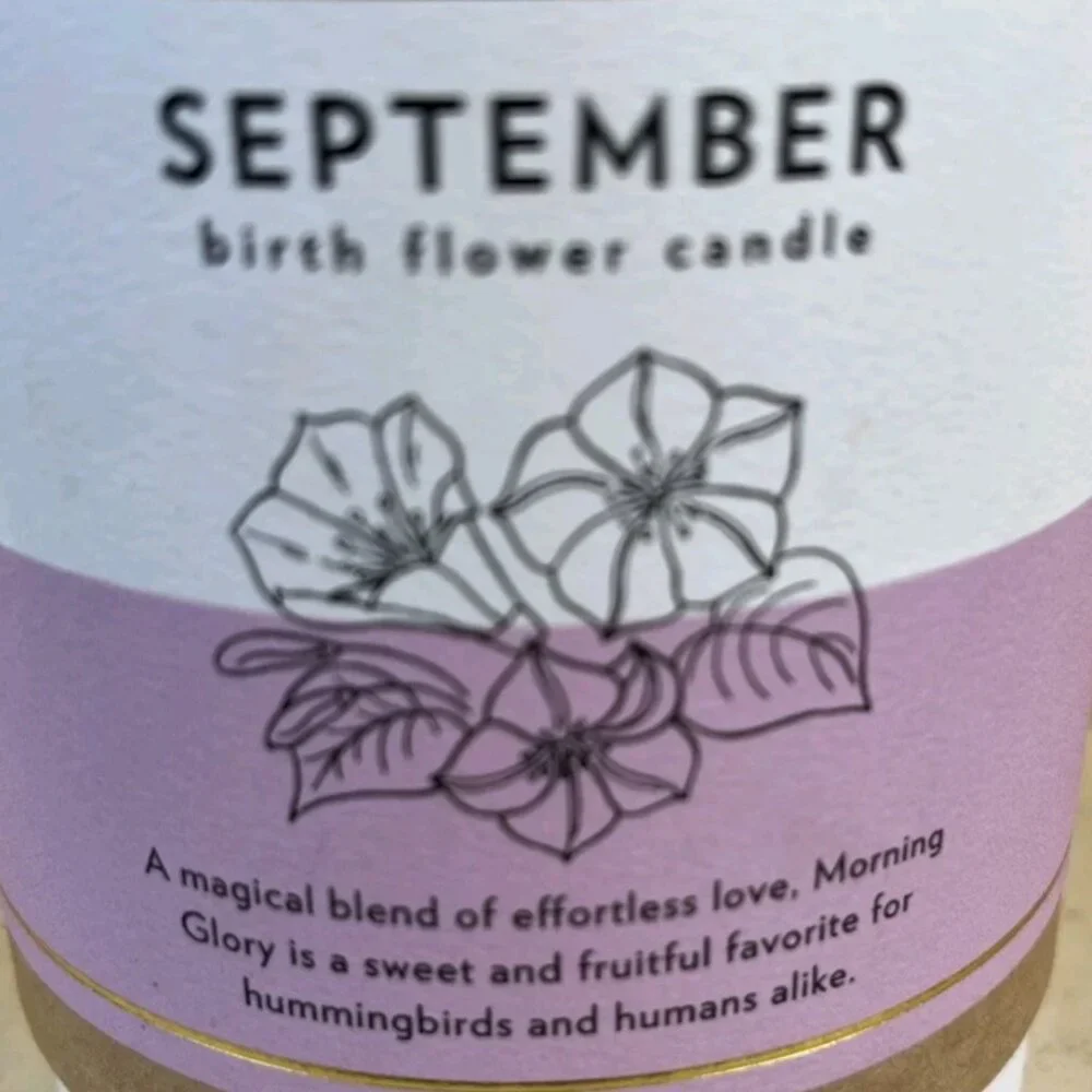Scripted Fragrance September Birth Flower Morning Glory Soy Candle 8 oz New